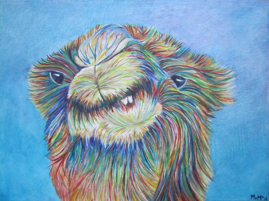 schilderij boze poes Kop struisvogel en Kamelen kop 30x40cm, Antiek en Kunst, Ophalen of Verzenden