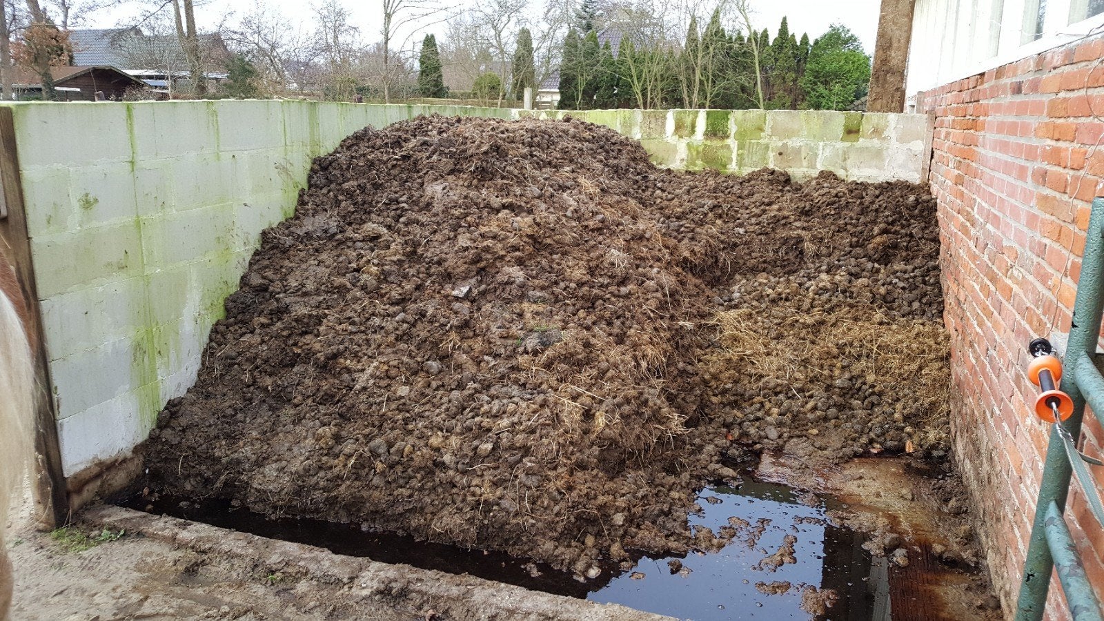 Gratis pure paardenmest, Ophalen, Mest