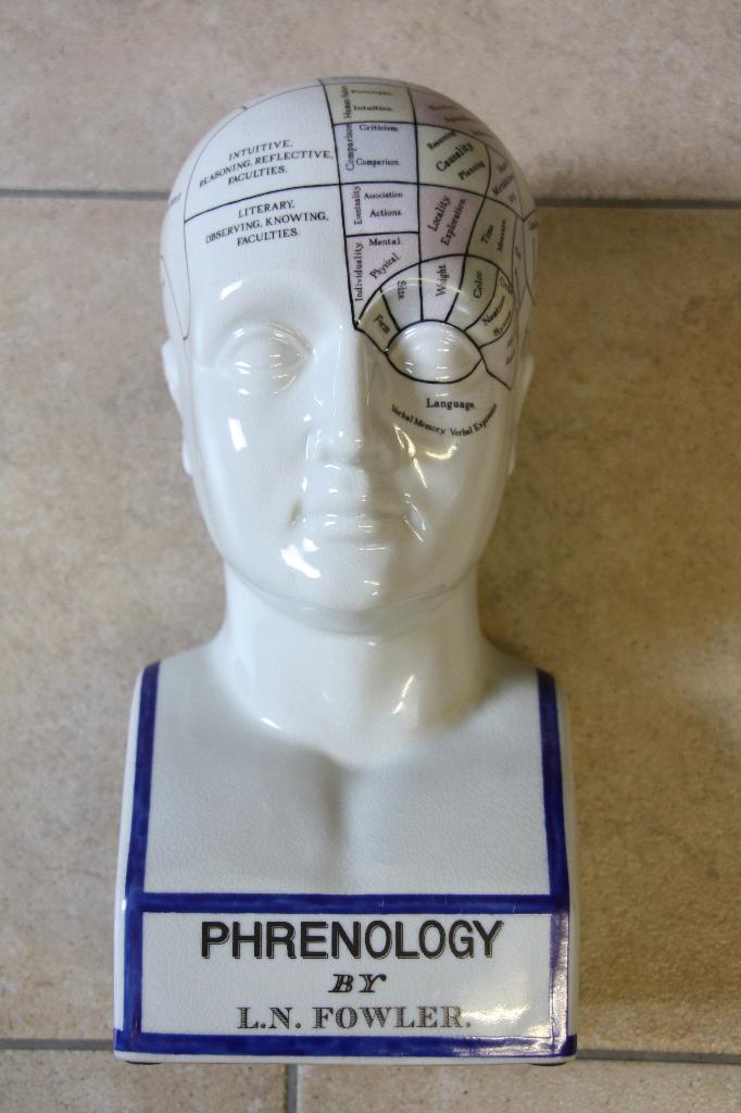 Antiek hoofd Phrenology by L.N. Fowler., Ophalen of Verzenden, Geglazuurd, Buste, 20 - 50 cm