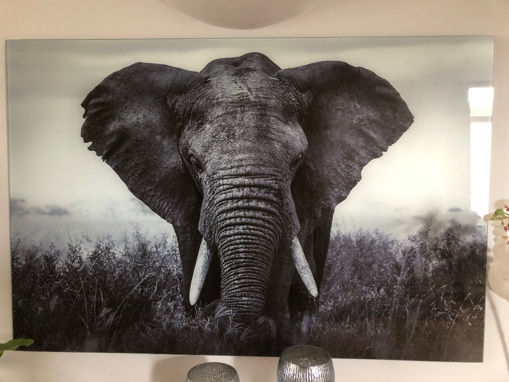 Schilderij, Ophalen, Glas, Print, Dieren
