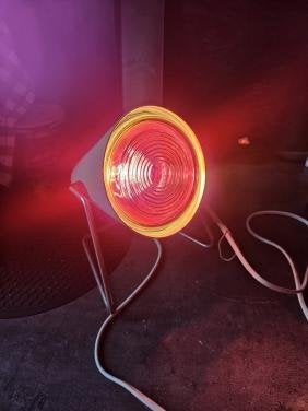 Vintage Philips Infraphil Infraroodlamp - Werkend, Ophalen of Verzenden