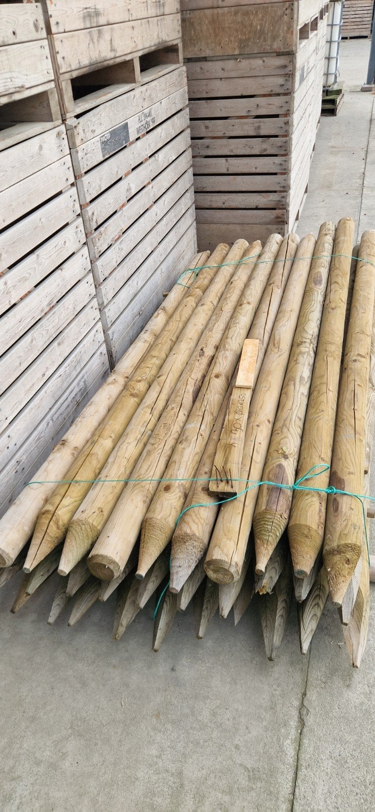 Nieuwe Houten palen - 30 stuks, 250 cm lang, Ø10 cm, Ophalen, Nieuw, 250 cm of meer, Palen