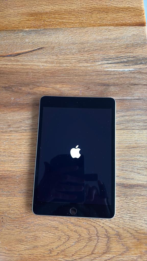 iPad Mini 4 Space Grey incl beschermhoesje zwart incl kabel, Computers en Software, Apple iPads, 13 inch of meer, Apple iPad, Ophalen of Verzenden
