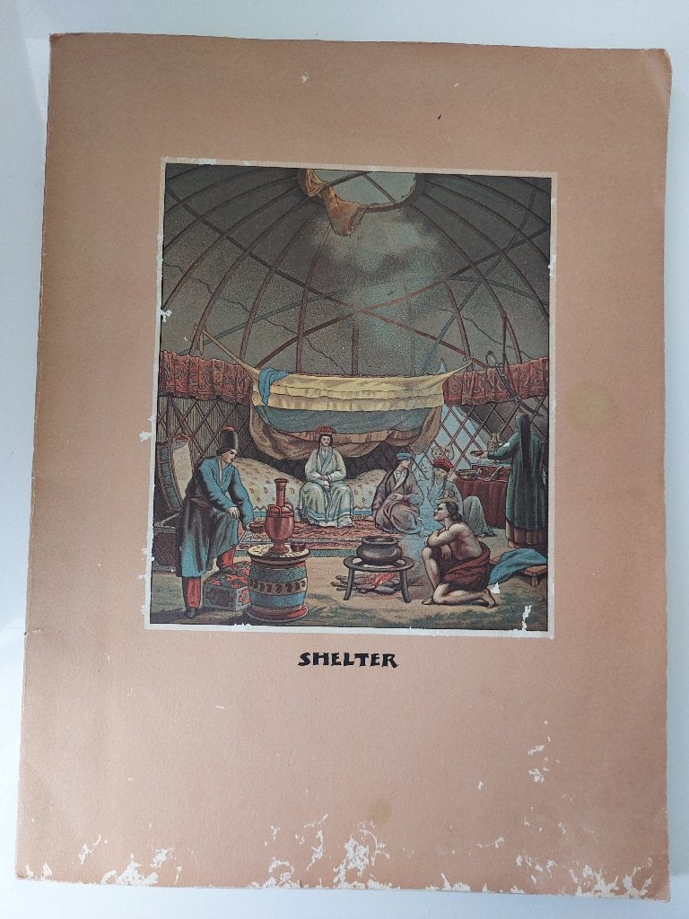 Shelter USA boek, Gelezen, Ophalen of Verzenden, Meerdere auteurs, Overige onderwerpen