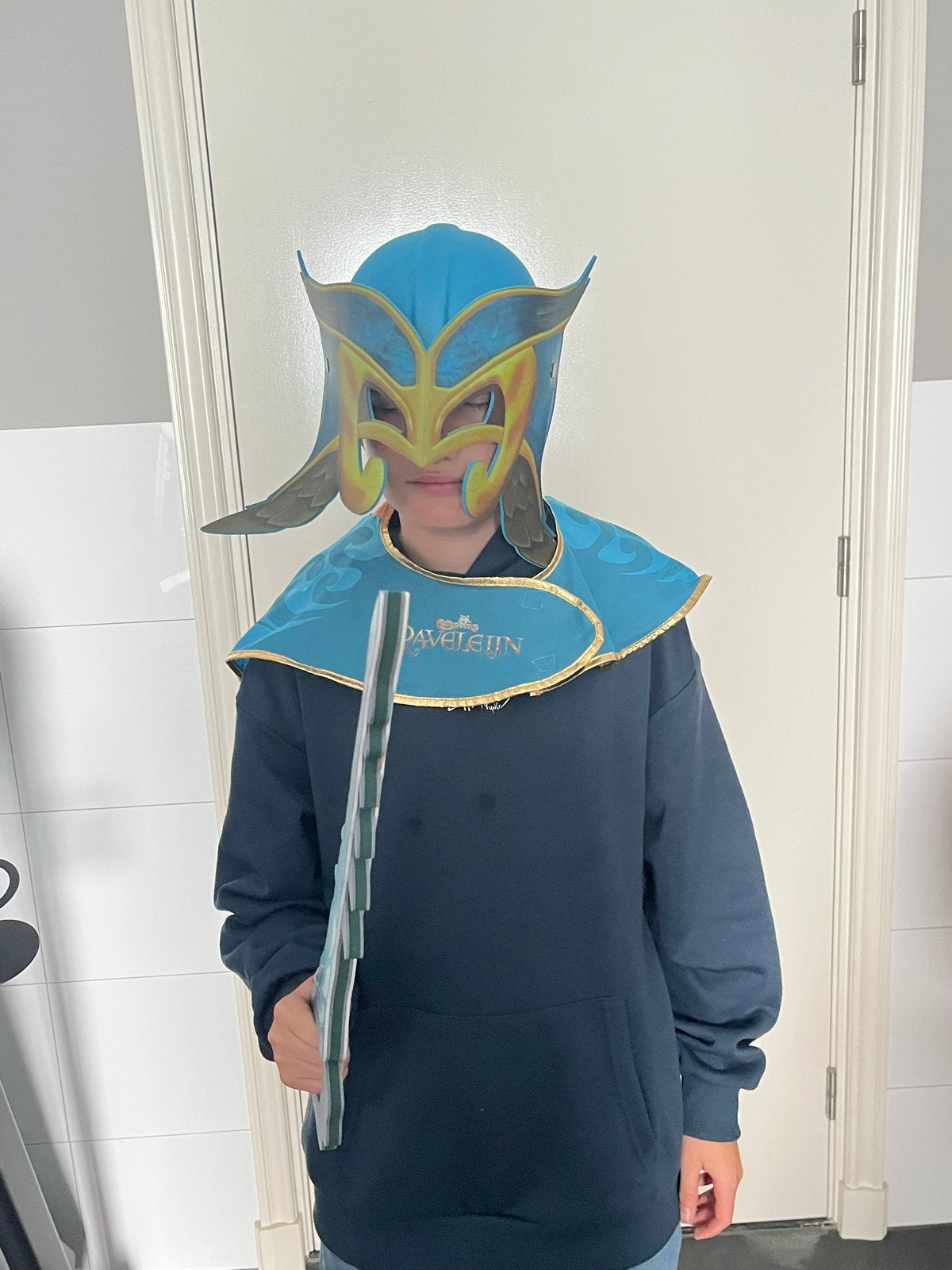 Blauwe ridder Ravelijn efteling: cape, zwaard en helm, Ophalen of Verzenden, Zo goed als nieuw, Overige typen