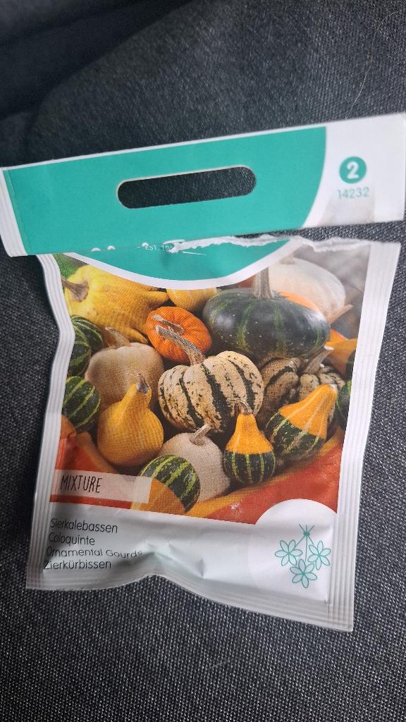 2 Stekjes sierkalebassen €0,50/stuk, Volle zon, Eenjarig, Herfst, Ophalen