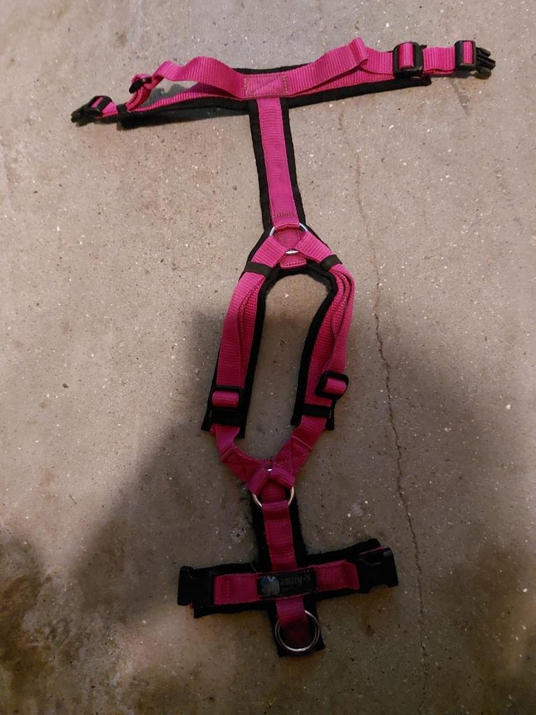 anny-x tuigje, Ophalen of Verzenden, Zo goed als nieuw, Hondenriem-accessoire