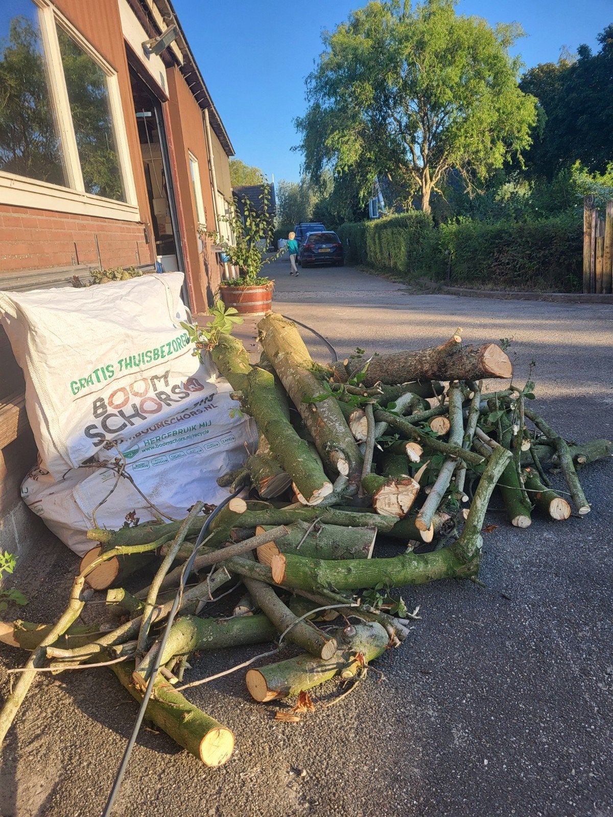 brandhout voornamelijk kastanje en een beetje esdoorn, Minder dan 3 m³, Ophalen