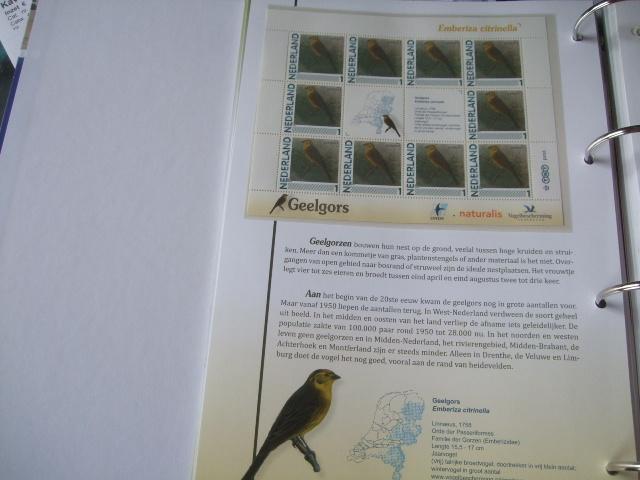 Prachtig vel vogels Geelgors, Verzenden, Dier of Natuur