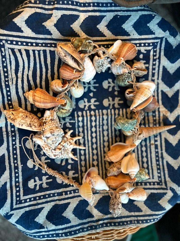 Decoratieve schelpenketting uit Indonesia, Verzamelen, Dierenverzamelingen, Gebruikt, Overige typen, Overige soorten, Ophalen of Verzenden