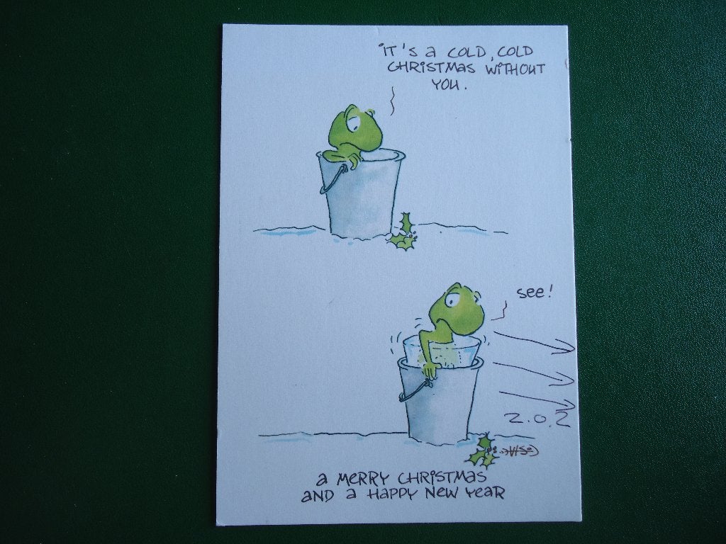 (667) Dierenkaart: SCHILDPAD / Leendert Jan Vis, Verzamelen, Verzenden, 1980 tot heden, Gelopen, Overige soorten