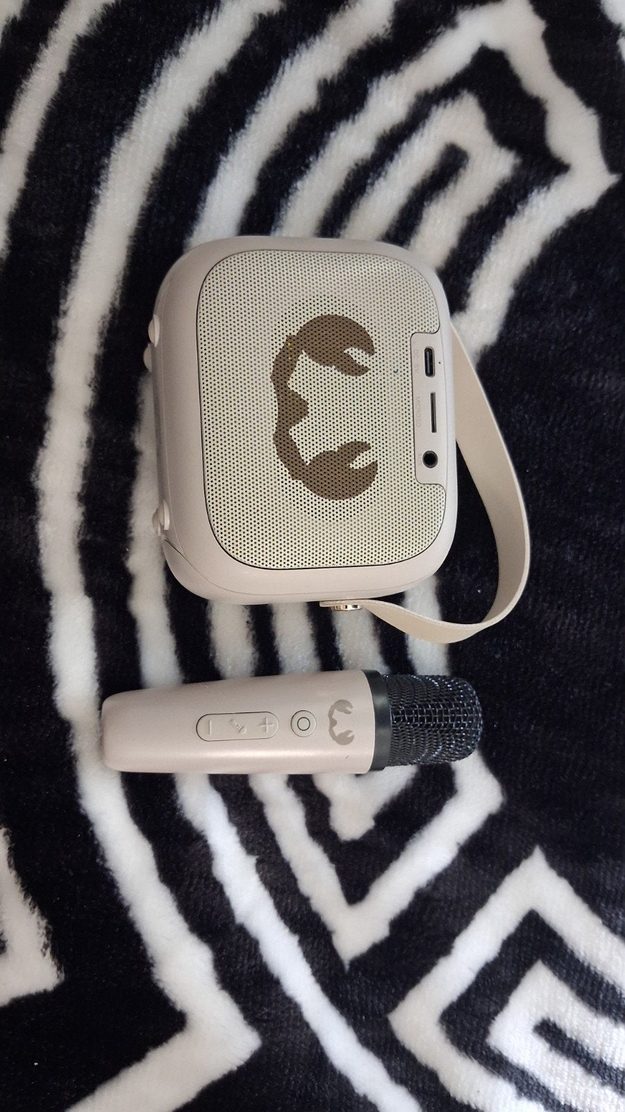 Draagbare Karaoke Set met Microfoon en Speaker, Ophalen, Zo goed als nieuw, Complete set