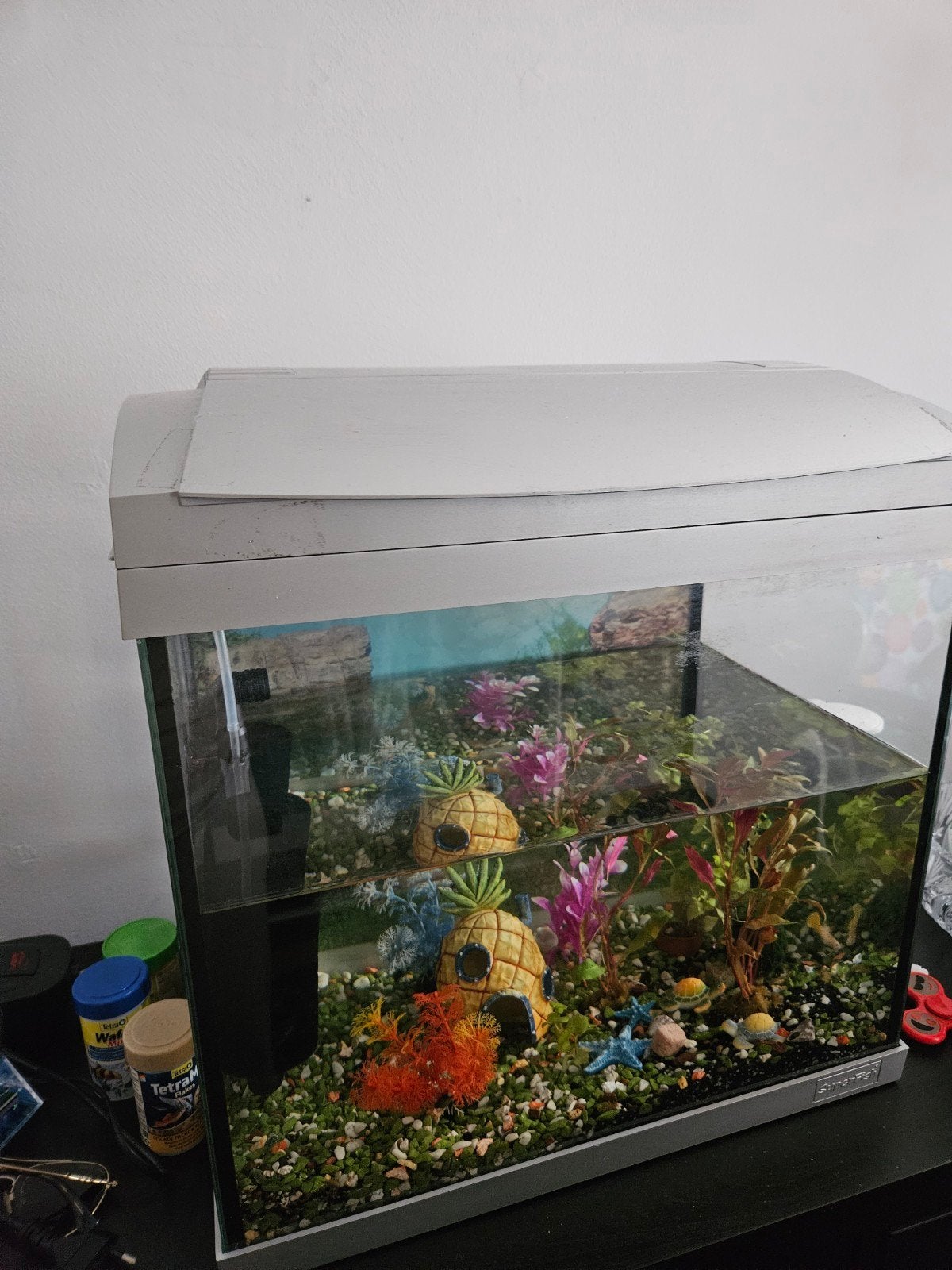 Aquarium met vis en accessoires, Ophalen