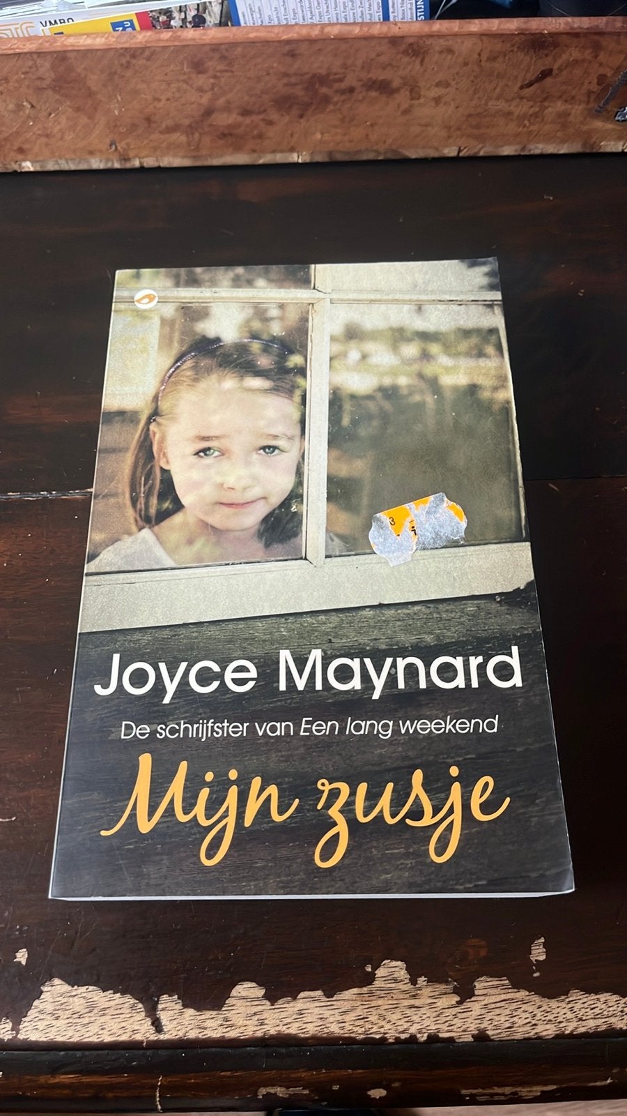 Mijn zusje - Joyce Maynard (Roman), Boeken, Ophalen of Verzenden, Gelezen, Nederland