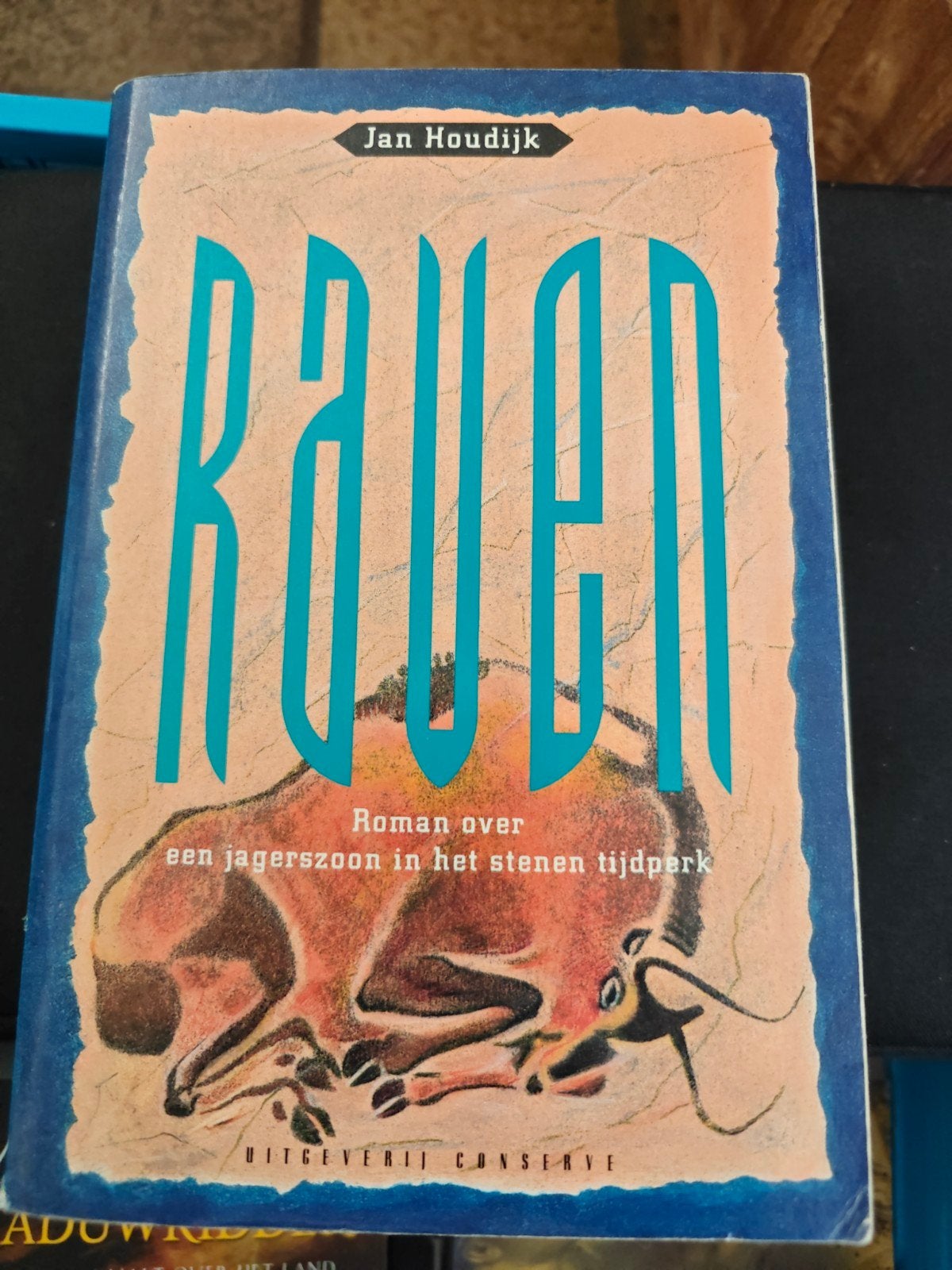 Raven - Roman over een jagerszoon in het stenen tijdperk, Ophalen, Gelezen, Jan Houdijk