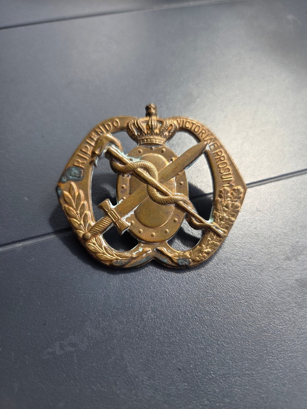 baret embleem medische troepen, Ophalen of Verzenden, Landmacht, Nederland, Embleem of Badge