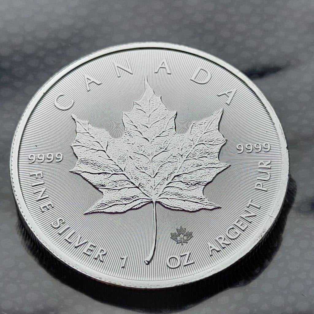2023 Canada 1 oz zilveren Maple Leaf, Ophalen of Verzenden, Noord-Amerika, Losse munt, Zilver