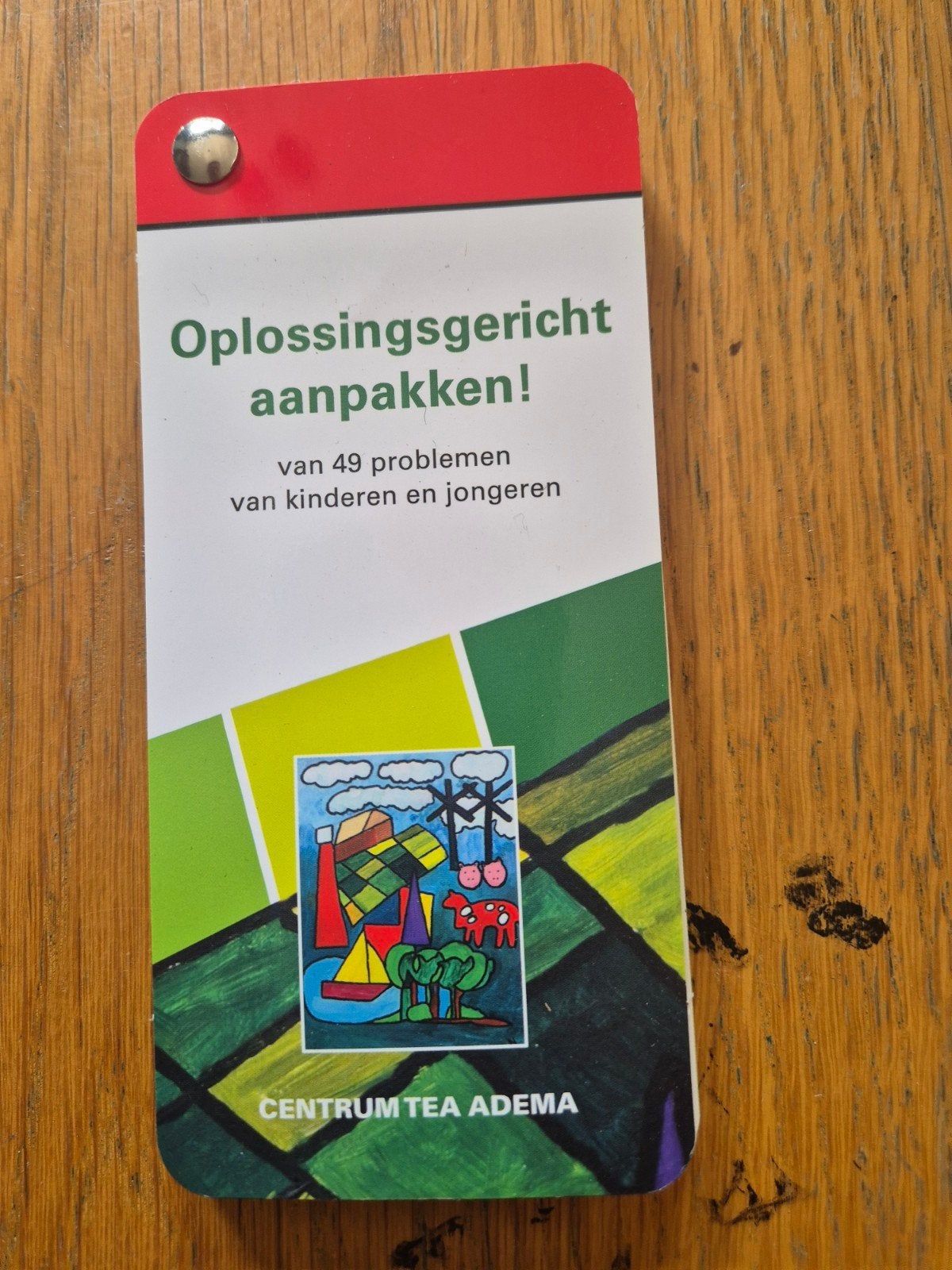 Oplossingsgericht aanpakken! Problemen kinderen/jongeren, Ophalen of Verzenden, Zo goed als nieuw, Centrum Tea Adema