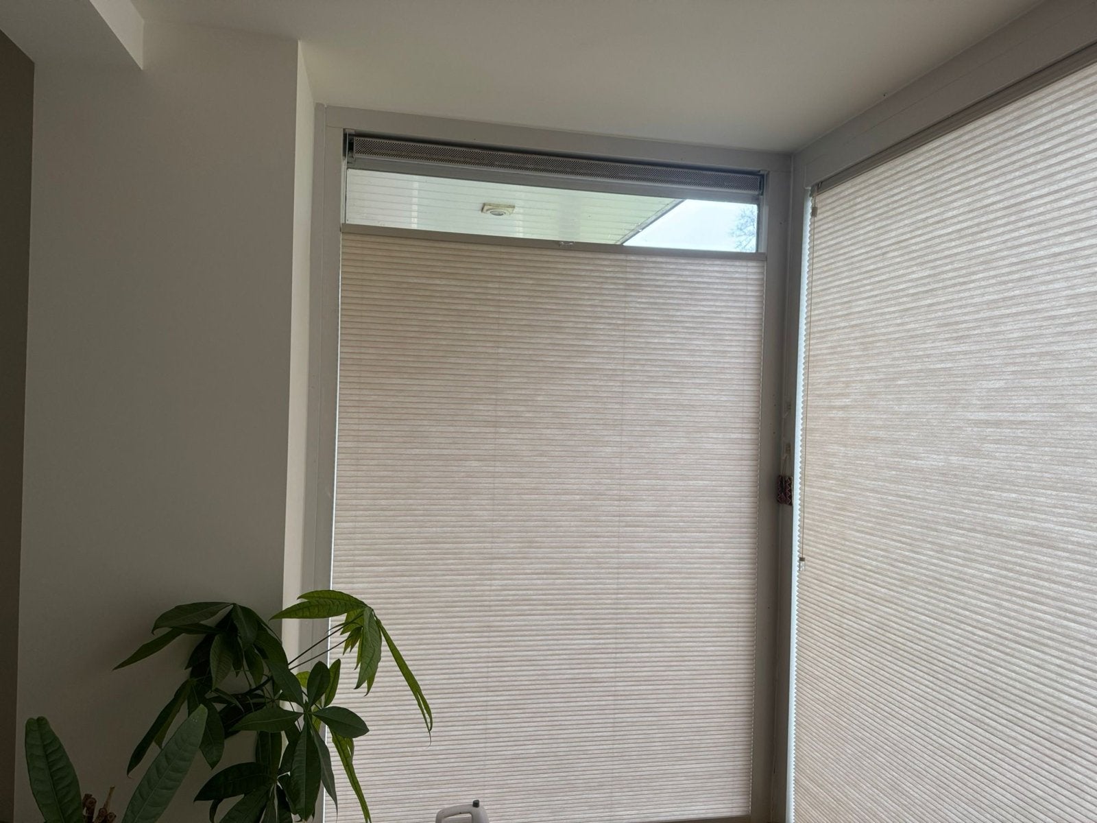 Plisségordijnen Draai-kiepraam TH24 - Sahara 1103, Huis en Inrichting, Ophalen, Gebruikt, Beige, Lichtdoorlatend