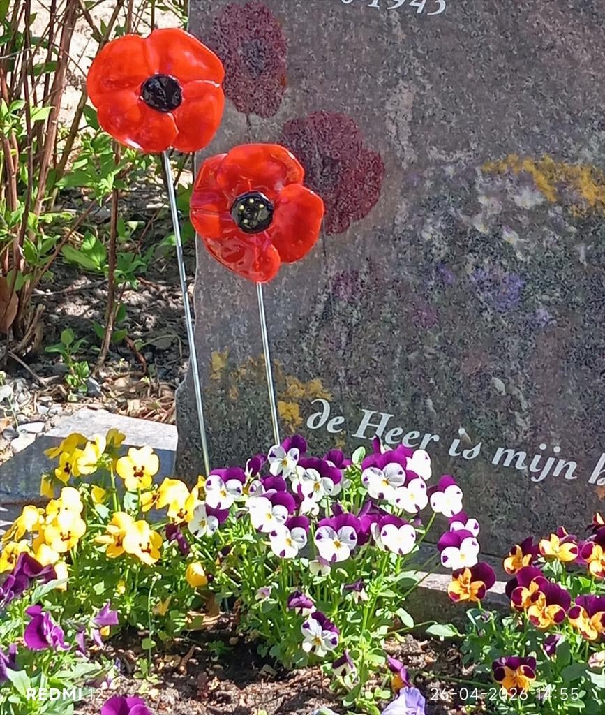 Klaproos van glas, Tuin en Terras, Tuinstekers, Ophalen of Verzenden