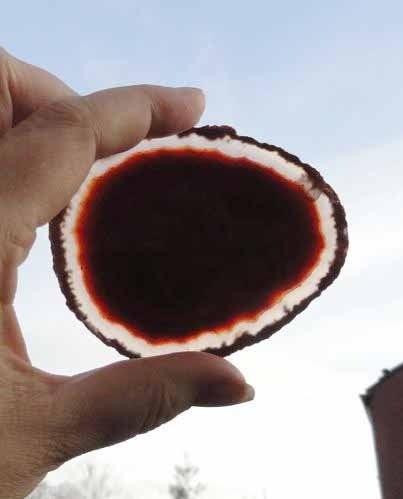 Agaatschijven Bruin Agaat Schijf plak, Verzenden, Mineraal