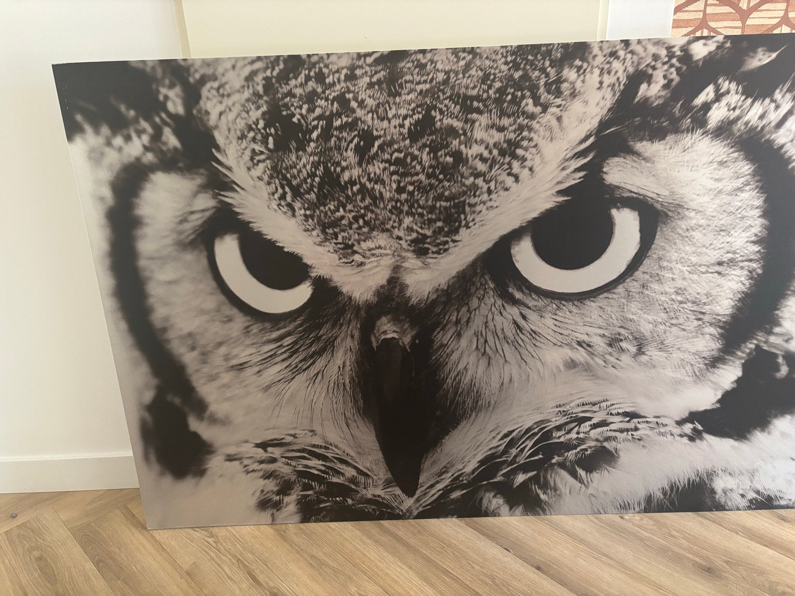 Groot uil schilderij op aluminium - 180x120 cm, Ophalen, Metaal, Print, Dieren