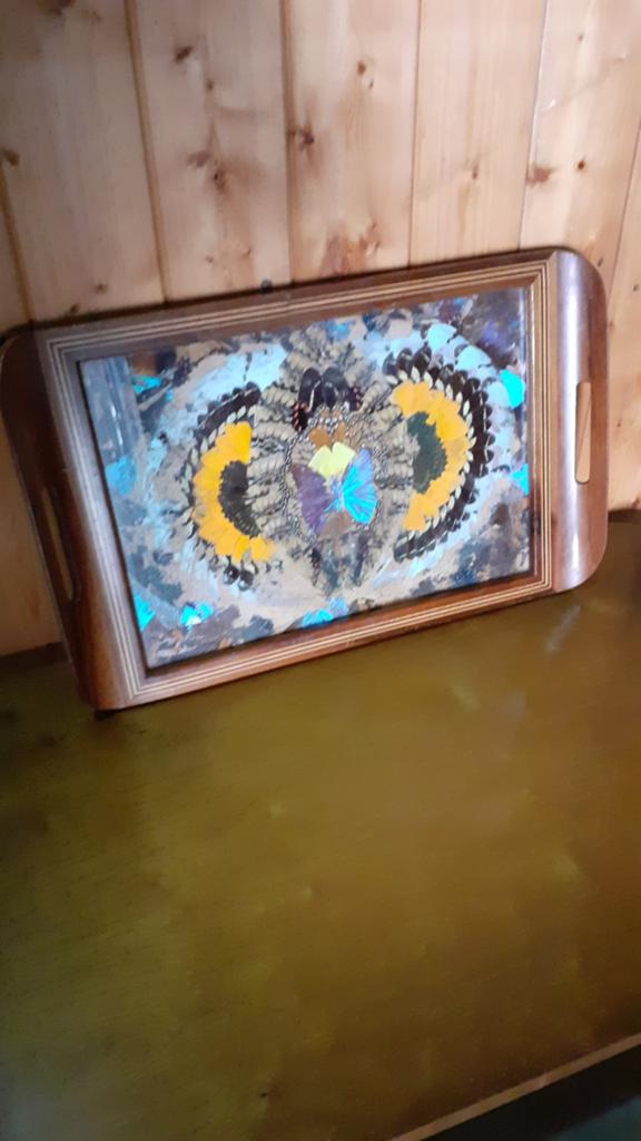 Blauwe Morpho vlinder dienblad jaren 30, Ophalen of Verzenden, Gebruikt