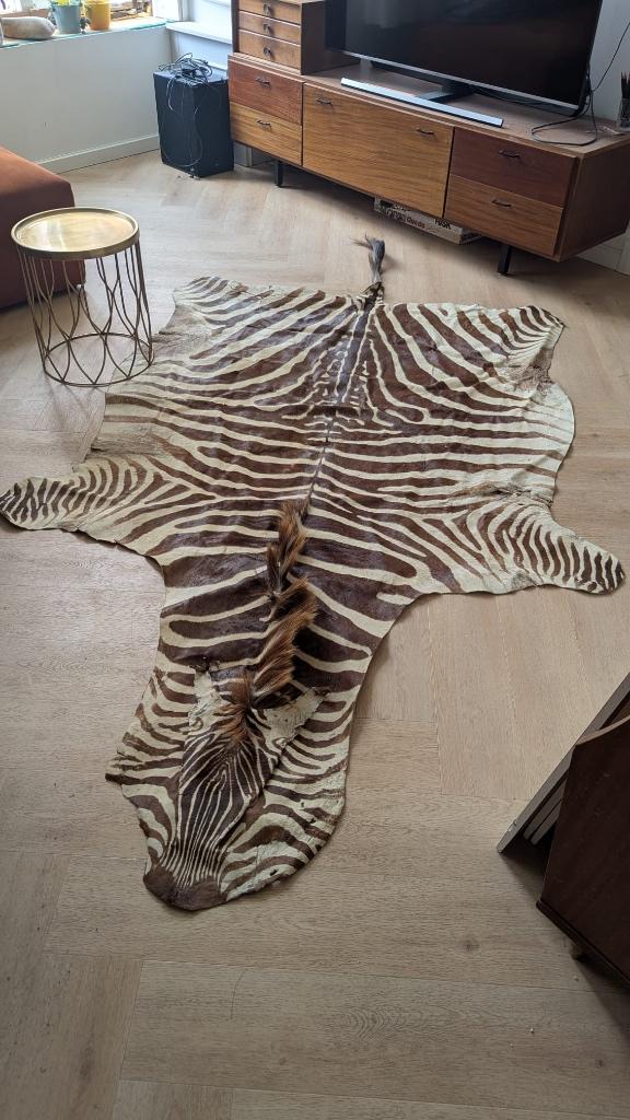 Zebra vel, huid, vloerkleed, wandkleed Burchell, Gebruikt, 100 tot 150 cm, 200 cm of meer, Ophalen of Verzenden