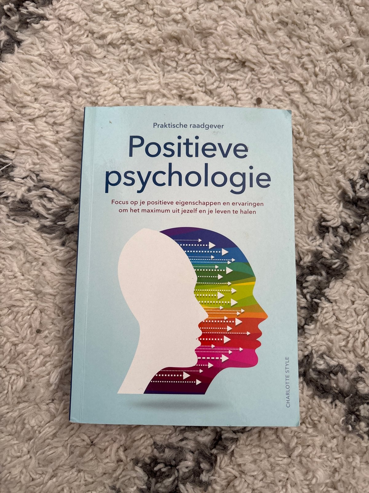 Positieve Psychologie: Praktische Raadgever, Ophalen of Verzenden, Zo goed als nieuw, Overige onderwerpen