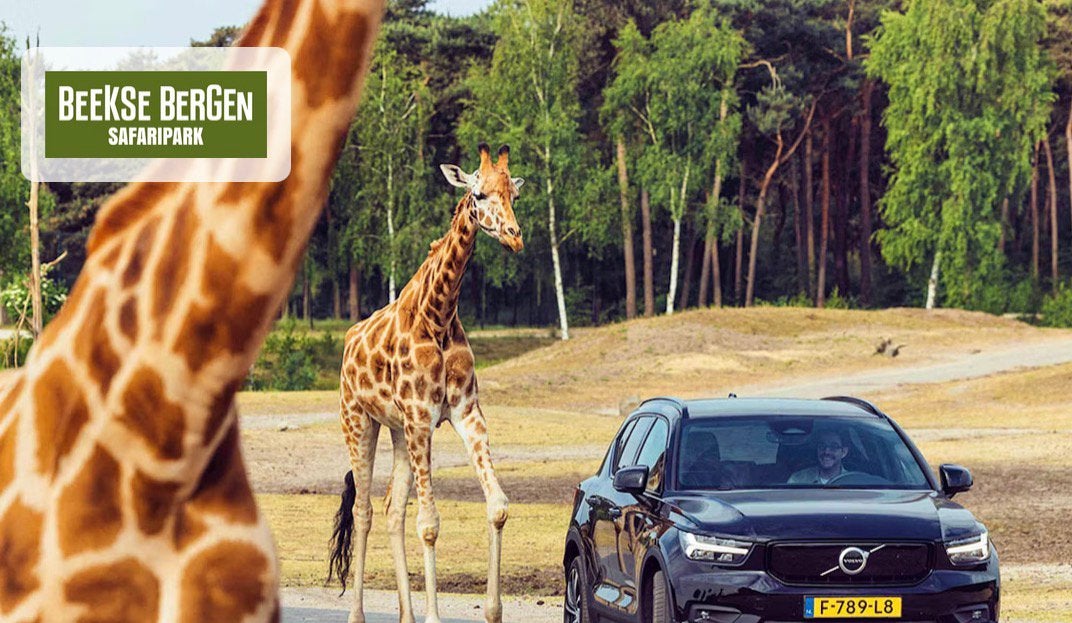 Beekse bergen safaripark, Twee personen, Ticket of Toegangskaart
