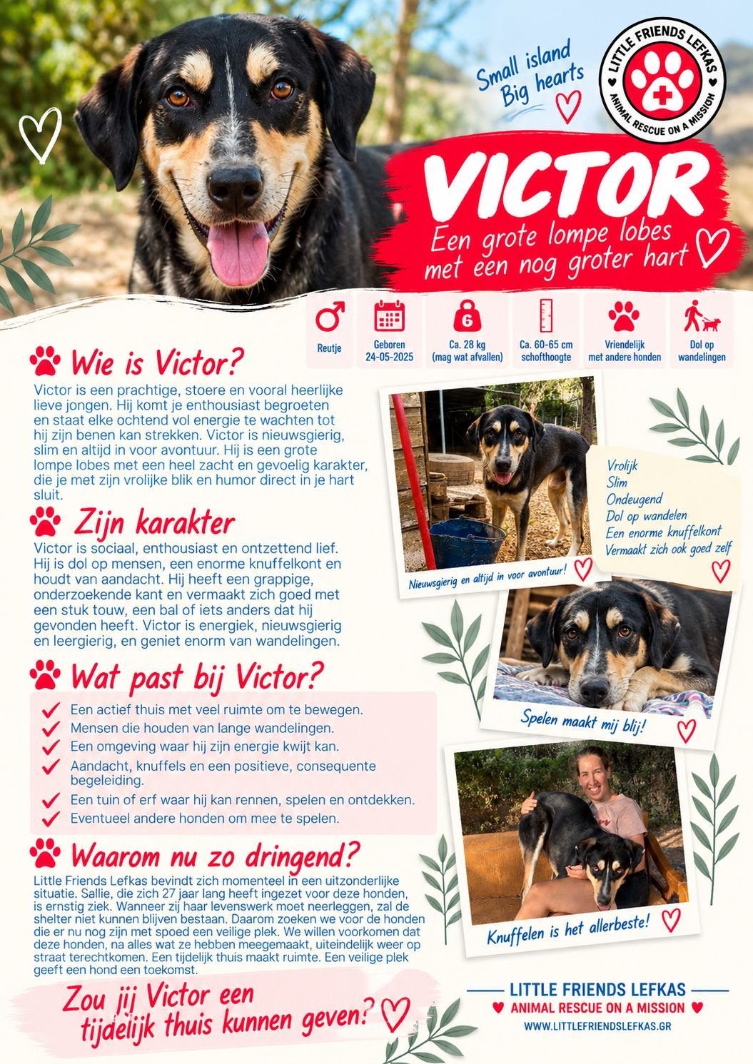FOSTERGEZIN GEZOCHT VOOR VICTOR, Starter, Overige vormen, Overige uren, LBO / VMBO