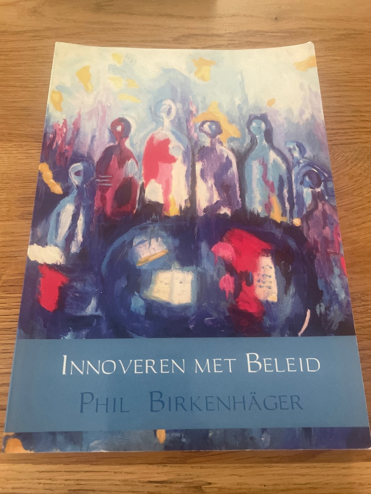 Innoveren met Beleid - Phil Birkenhäger, Ophalen of Verzenden, Gelezen, Nederland