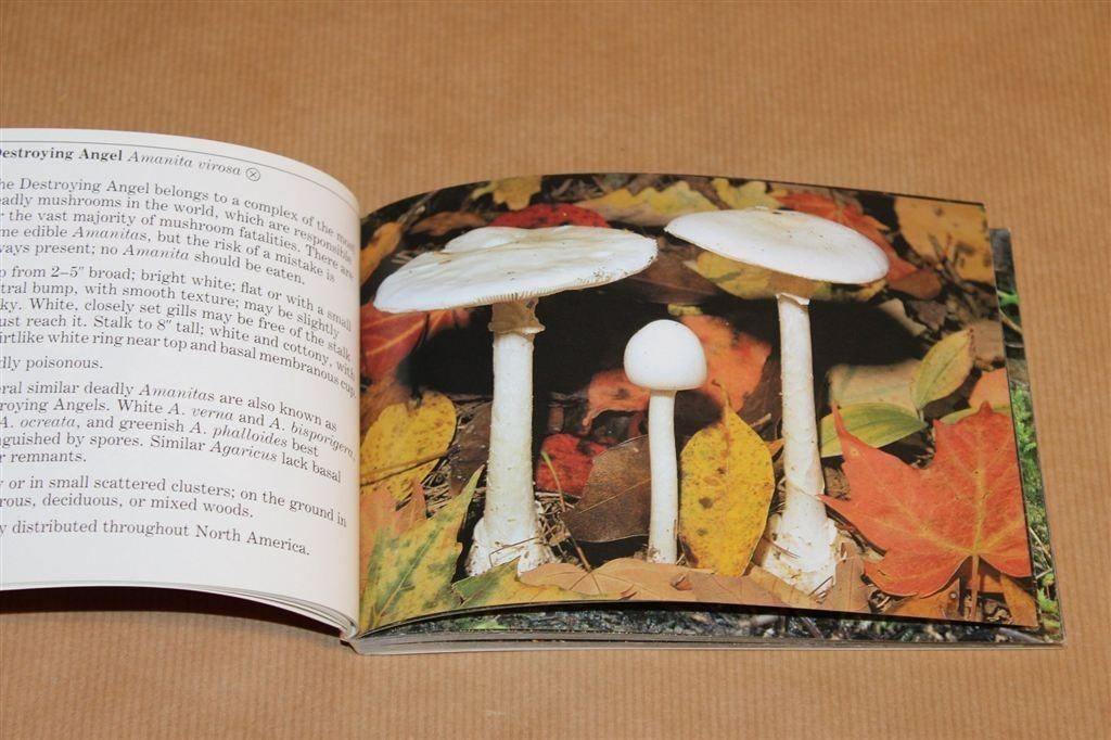 Bekende Paddestoelen [Noord-Amerika] — Audubon [ENG], Ophalen of Verzenden, Gelezen, Bloemen, Planten en Bomen
