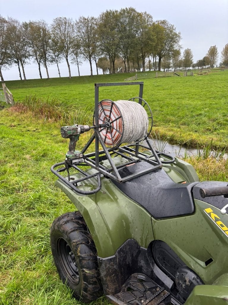 schrikdraad opwinder, Mannelijk, Schaap