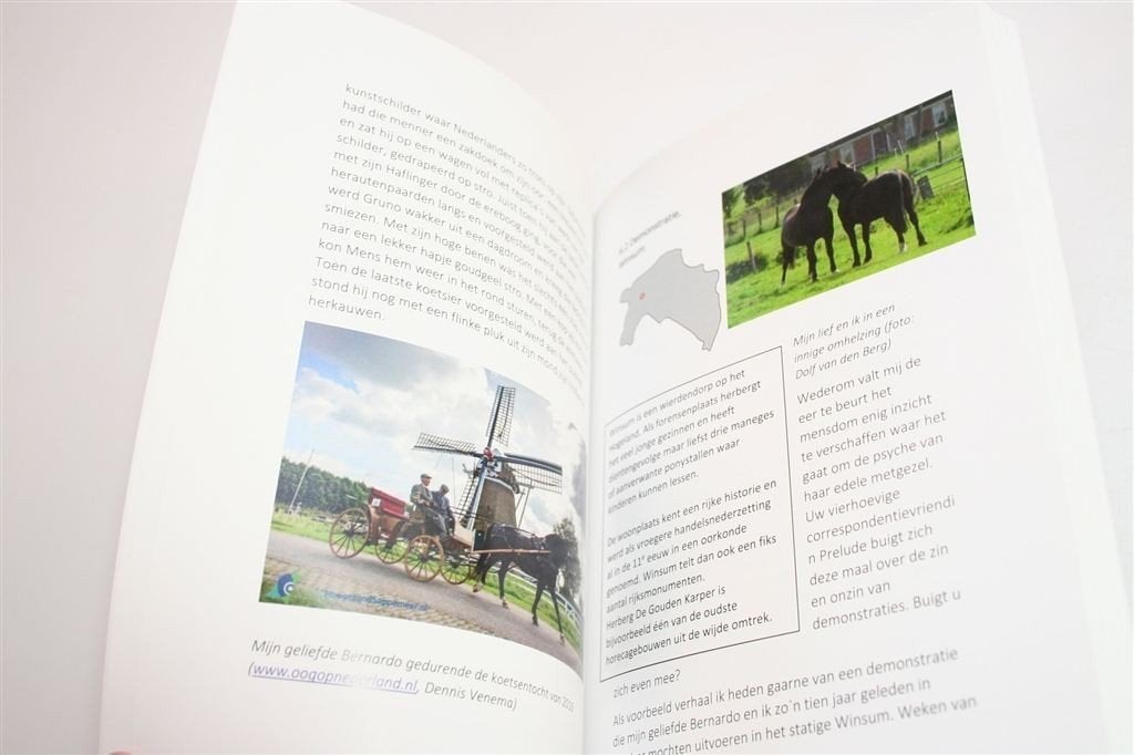 De Groningin — Wereld door de Ogen van een Groninger Paard, Ophalen of Verzenden, Zo goed als nieuw, Paarden of Pony's