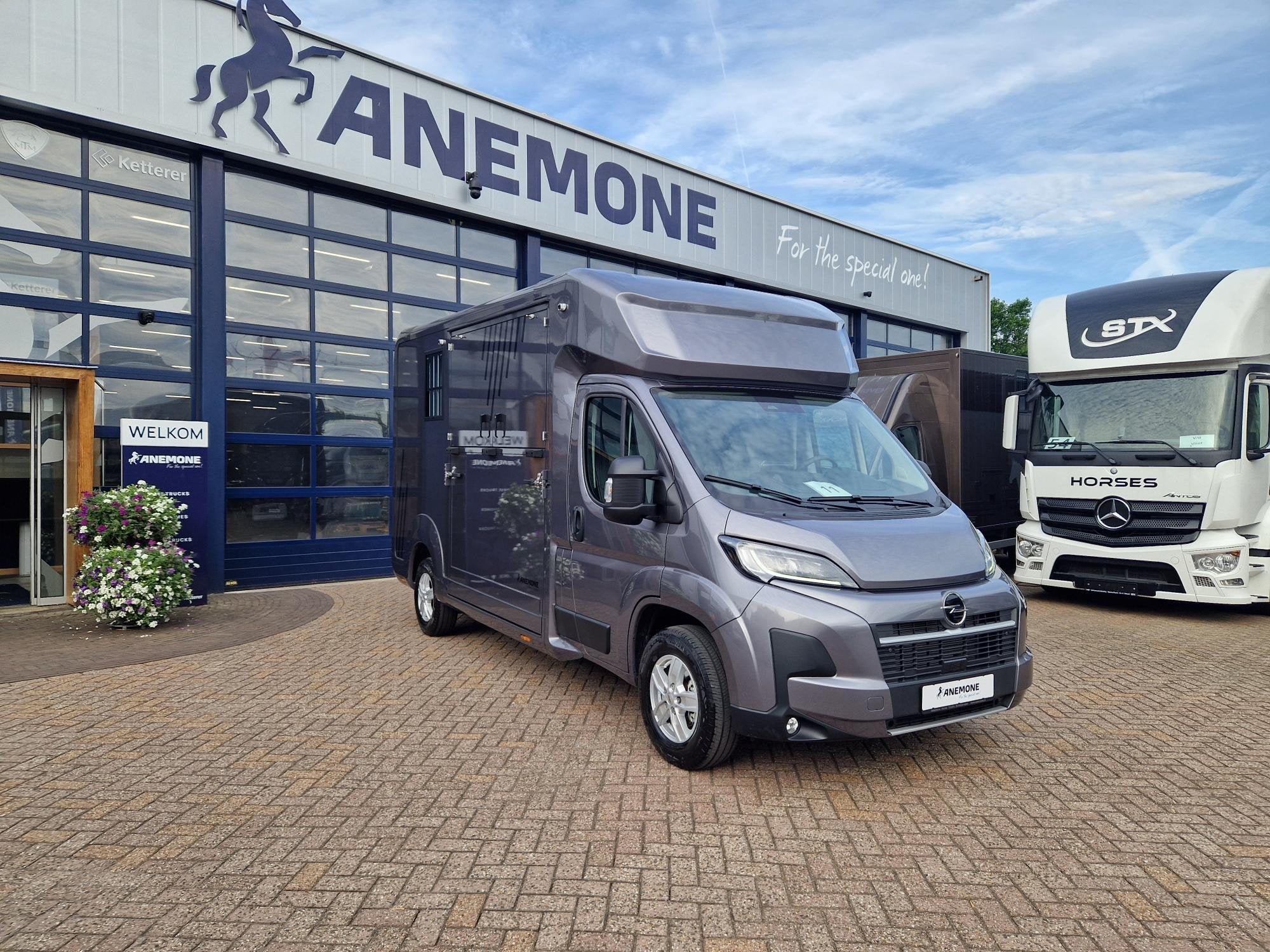 Opel Movano AKX S3 nieuw paardenwagen Automaat Pro-safety he, Nieuw, Overige typen