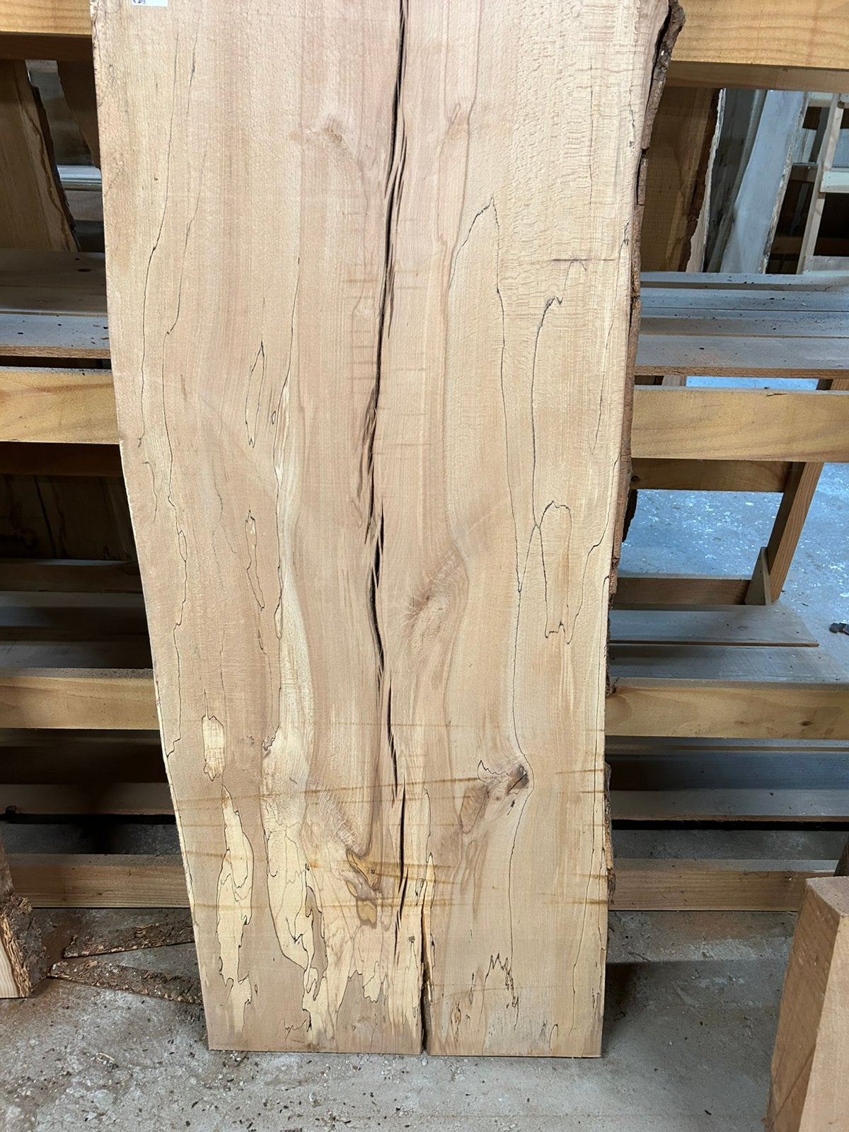 Nr 76/ Boomstamblad Spalted Beuk met slaap ca.5x60x230cm., Ophalen, Zo goed als nieuw, 250 cm of meer, Planken