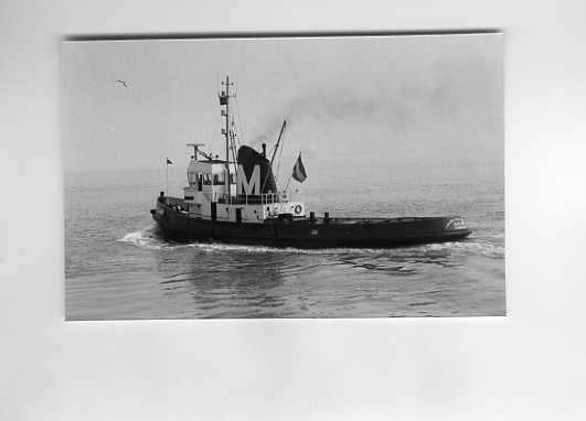 scheepvaart-foto-TERNEUZEN-MULLER-beveland, Ophalen of Verzenden, Zo goed als nieuw, Boek of Tijdschrift