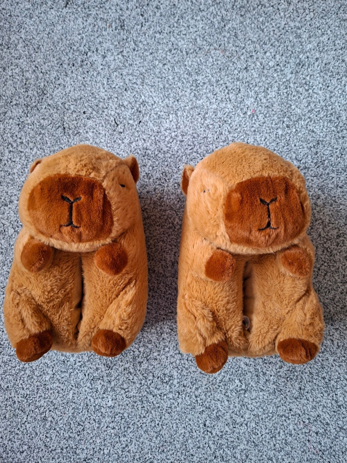 capibara sloffen maat 38/39, Ophalen, Nieuw, Pantoffels of Sloffen
