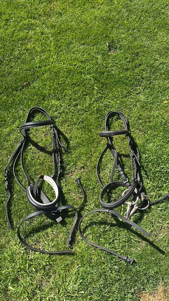 Hoofdstellen pony, Dieren en Toebehoren, Ophalen of Verzenden, Gebruikt