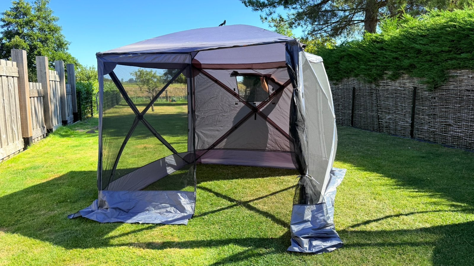 Bardani Quick Lodge 4 - Snel op te zetten tent, Ophalen, Zo goed als nieuw, Tot en met 4
