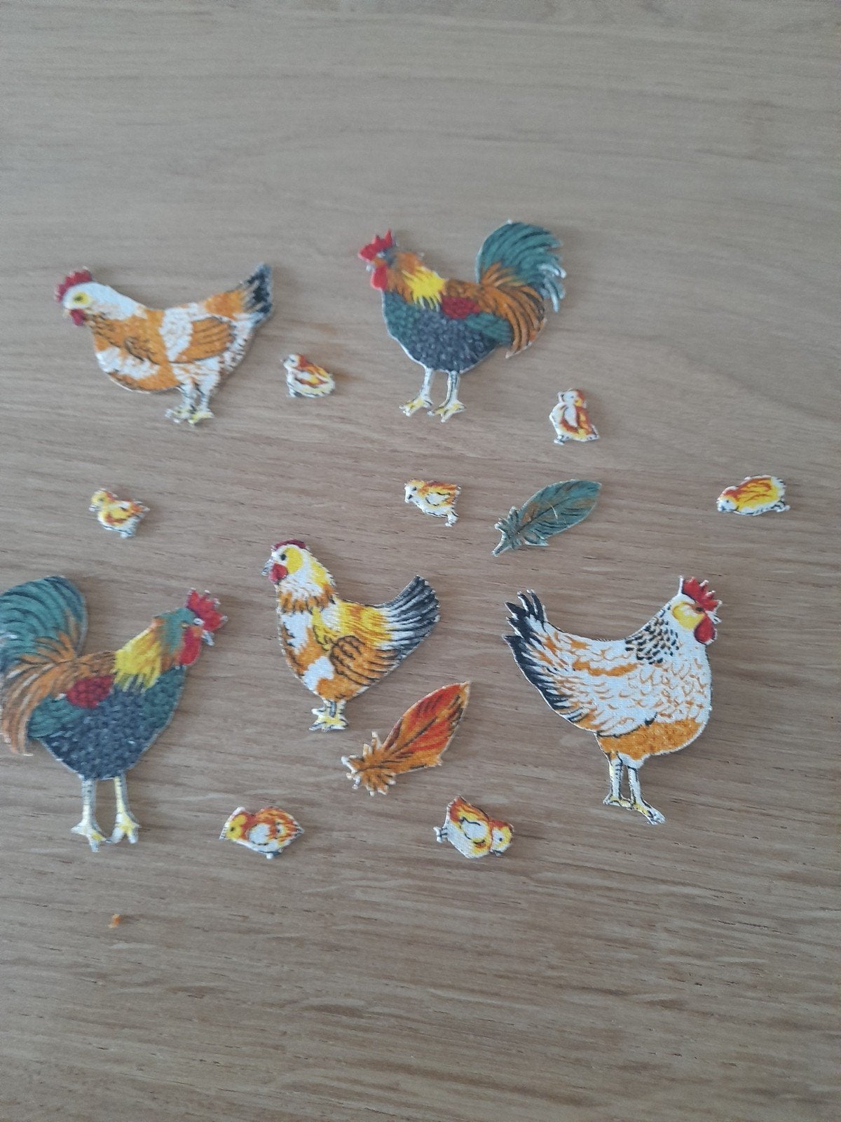 Set kippen 4, Hobby en Vrije tijd, Ophalen of Verzenden, Nieuw, Overige thema's