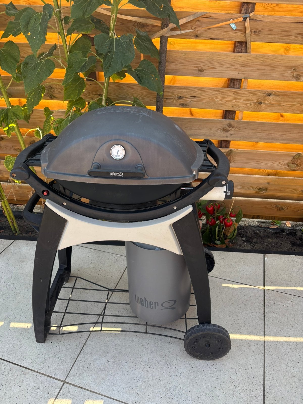 Weber gasbbq Q2100 (groot model), Ophalen, Zo goed als nieuw
