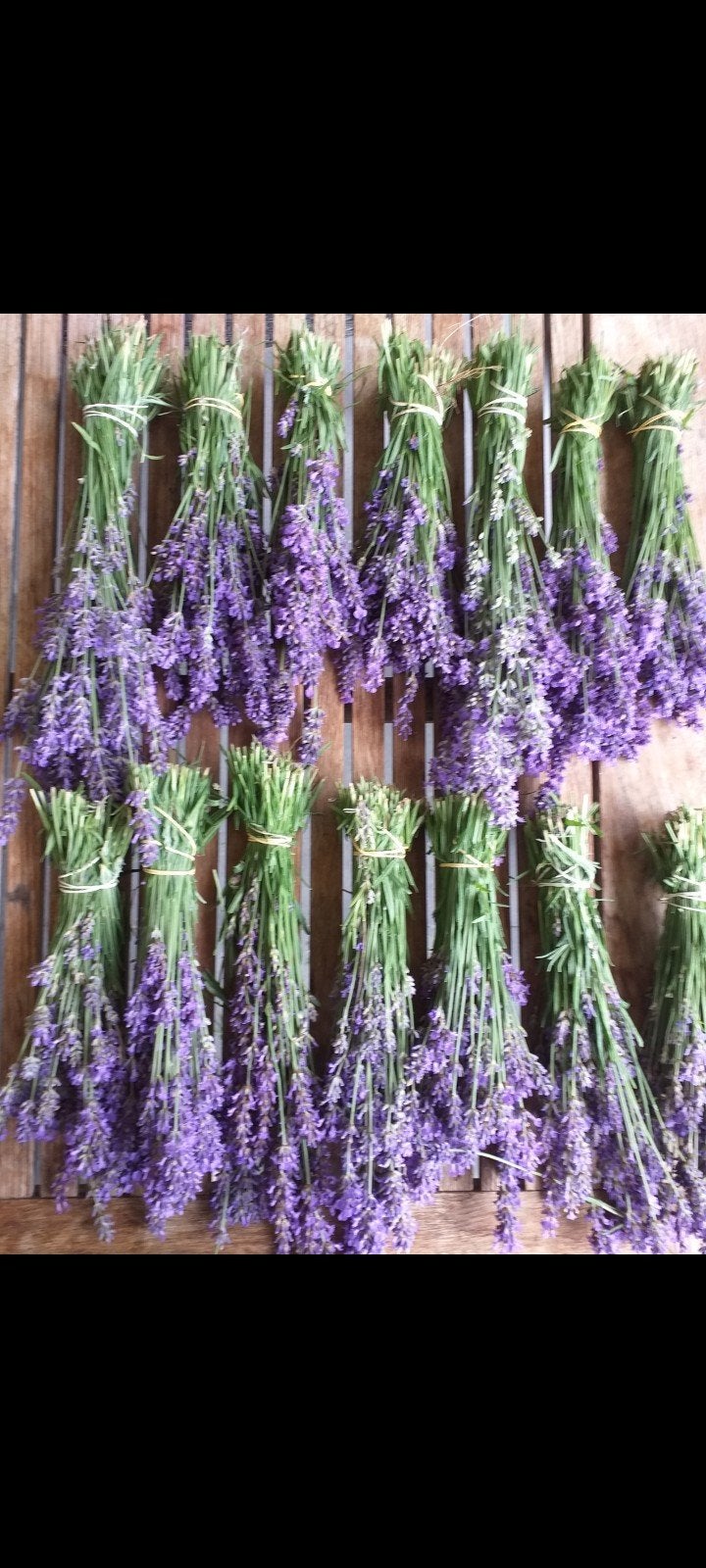 Lavendel droogbloemen, Huis en Inrichting, Ophalen of Verzenden