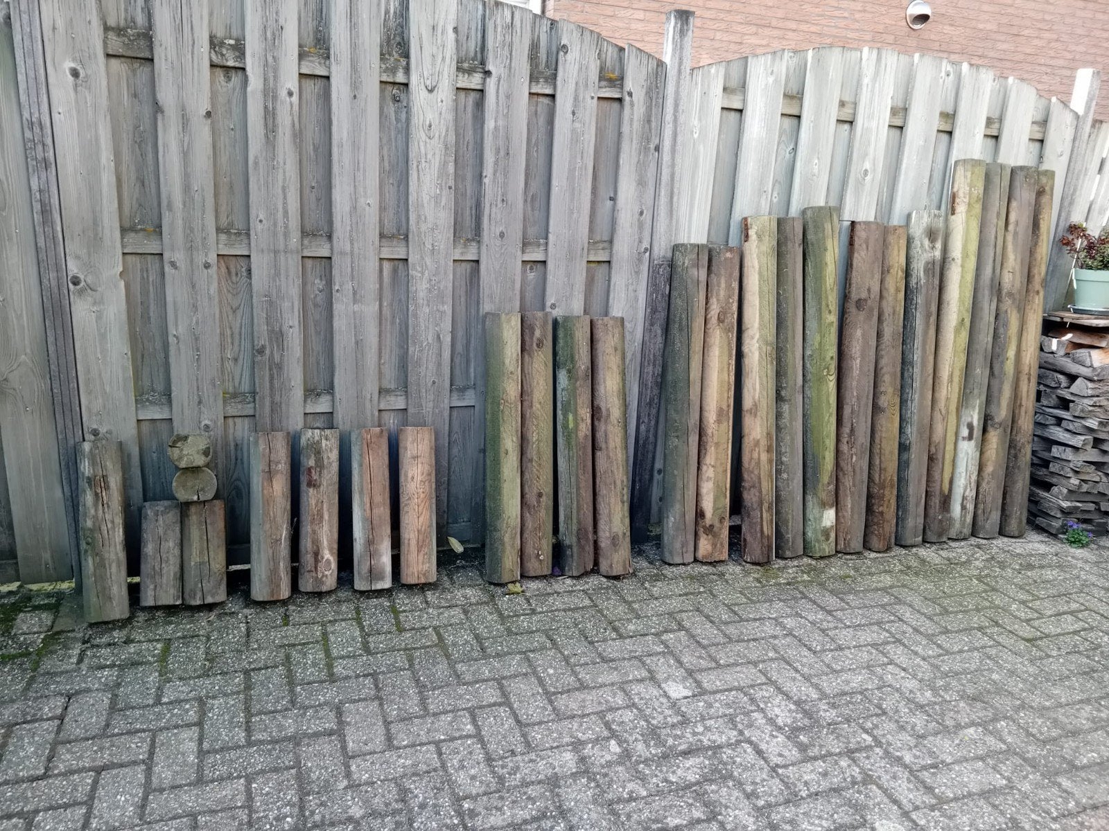 Gewolmaniseerde mini bielzen, T.e.a.b. af te halen in Zelhem, Ophalen, Gebruikt, Minder dan 180 cm, Overige typen