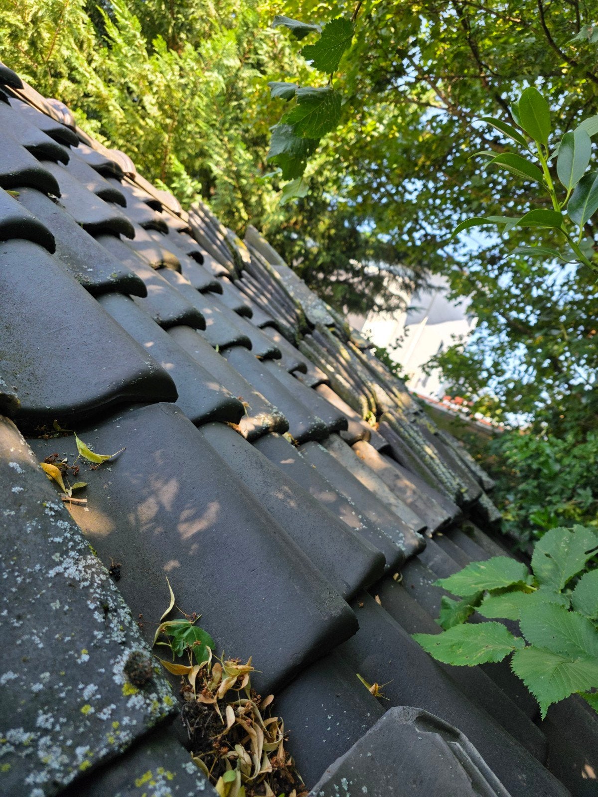 Gratis dakpannen af te halen, reeds opgestapeld, Ophalen of Verzenden