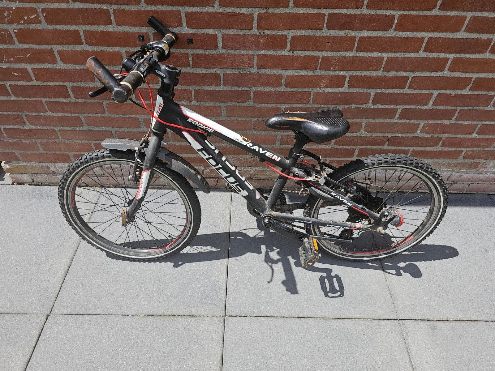 Focus Raven Rookie kinderfiets 20 inch, Ophalen, Gebruikt, 20 inch of meer