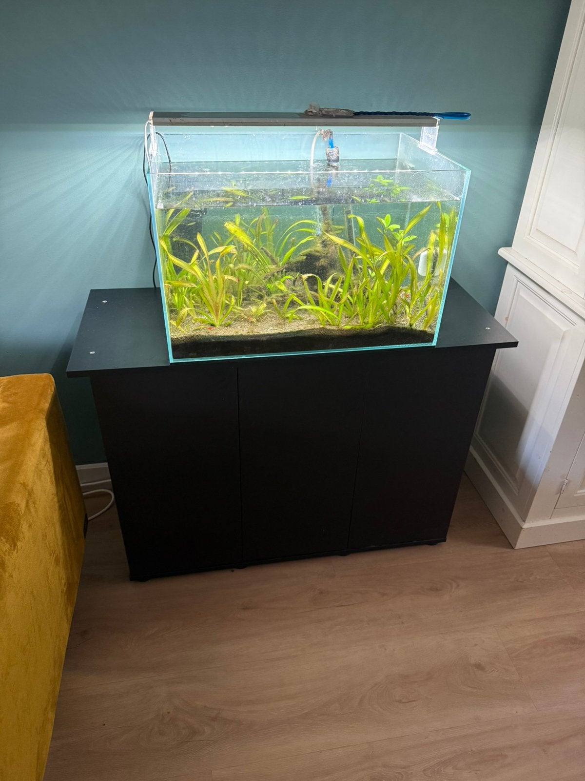 Aquarium, onderkast en volledige inhoud, Ophalen, Gevuld zoetwateraquarium, Superfish, Inclusief vissen
