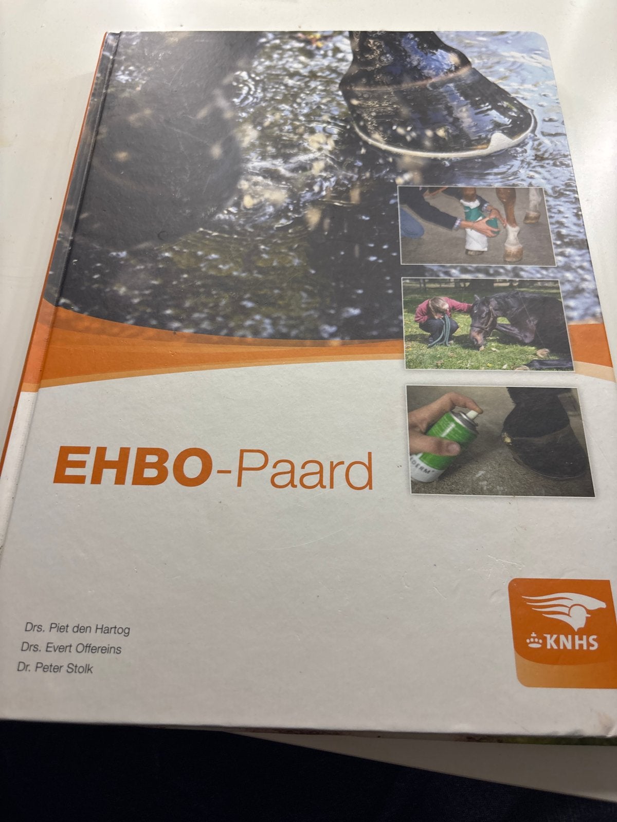 EHBO-Paard: Essentiële gids voor paardenverzorging, Ophalen of Verzenden, Beta, Gelezen, Overige niveaus