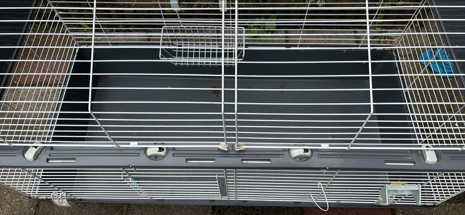 Gratis cavia kooi 120, Kooi, 110 cm of meer, Cavia, Ophalen
